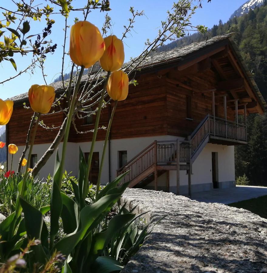 غريسوني سان جان B&B Lorelei المظهر الخارجي الصورة